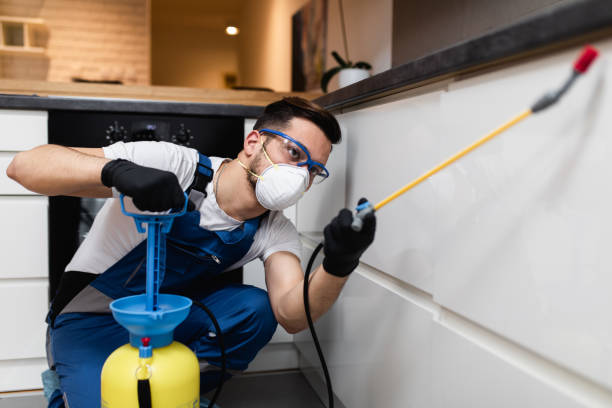 Best Pest Removal Services  in Lightstreet, PA