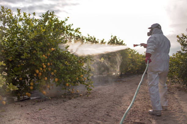 Professional Pest Control in Lightstreet, PA