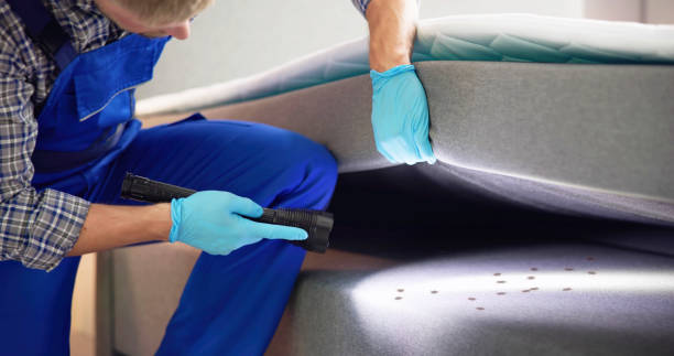 Best Affordable Pest Control Services  in Lightstreet, PA