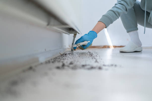 Wasp Removal Services in Lightstreet, PA